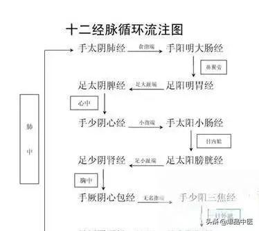 十二经筋(收藏版)