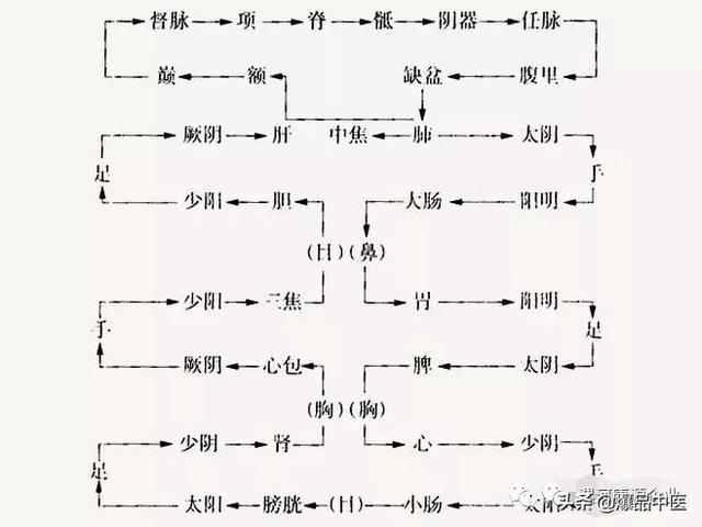 十二经筋(收藏版)