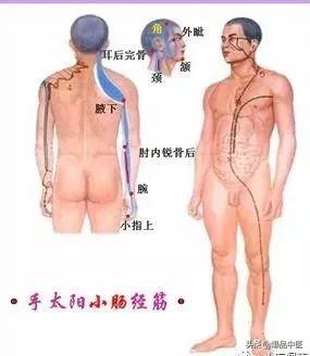 十二经筋(收藏版)
