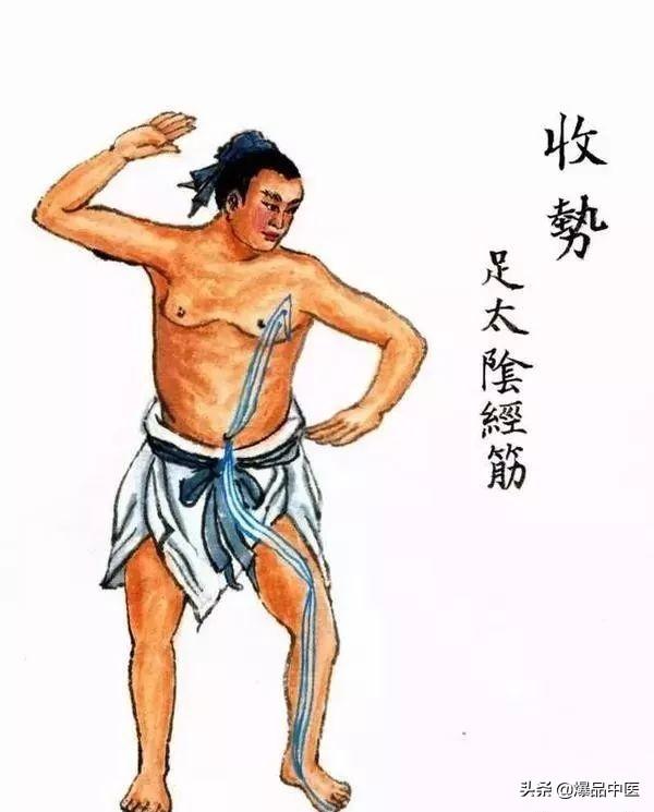 十二经筋(收藏版)