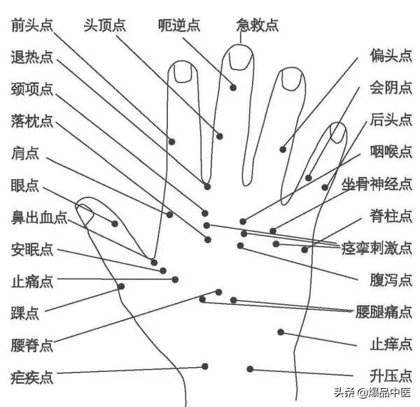全息图谱:针灸专业必备,拥有完美疗效