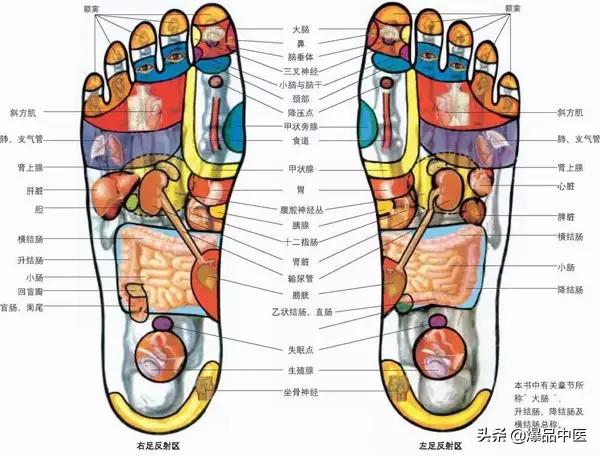 全息图谱:针灸专业必备,拥有完美疗效