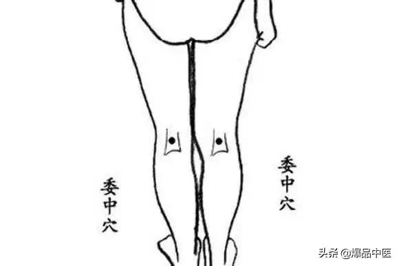 35个常用穴位位置与功效大全,配穴位图详解,很实用!收藏起来