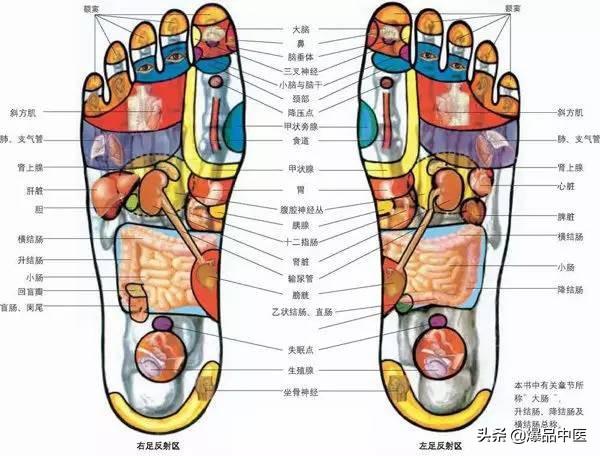 全身穴位治疗口诀大全,配图精华版,想学经络穴位的必须收藏