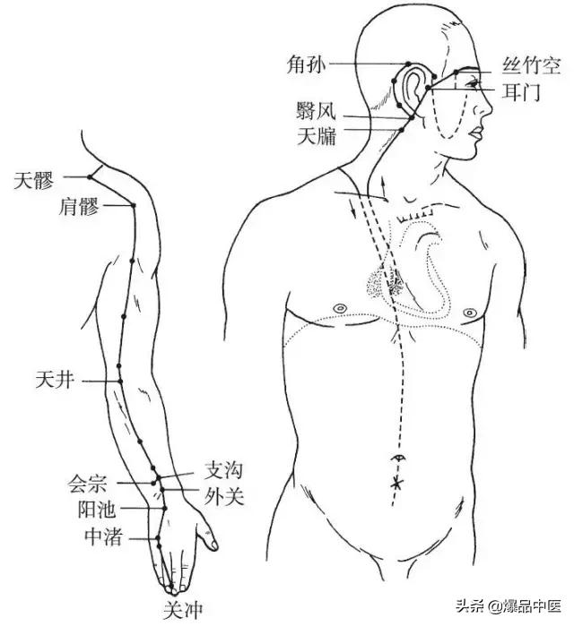 十二经脉的循行规律,中医收藏必备