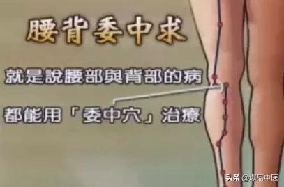 全身穴位治疗口诀大全,配图精华版,想学经络穴位的必须收藏