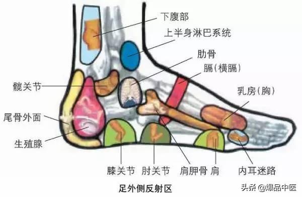 全身穴位治疗口诀大全,配图精华版,想学经络穴位的必须收藏