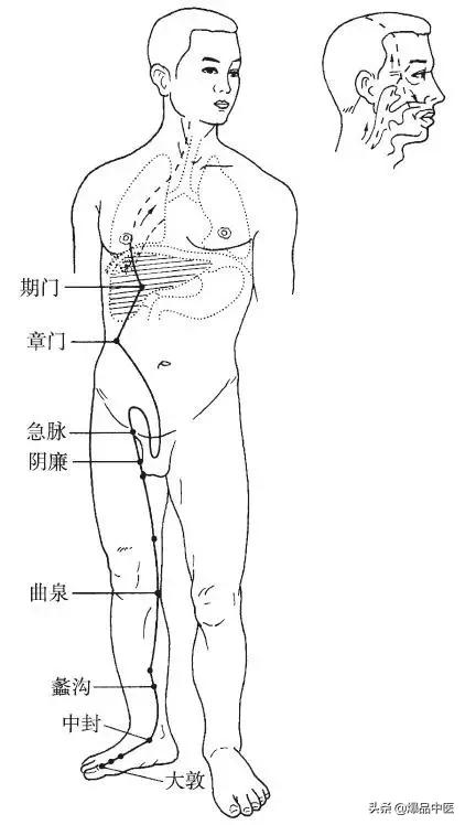 十二经脉的循行规律,中医收藏必备