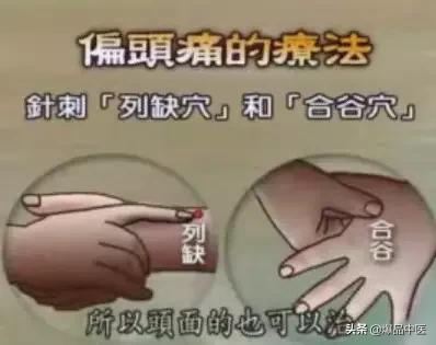 全身穴位治疗口诀大全,配图精华版,想学经络穴位的必须收藏