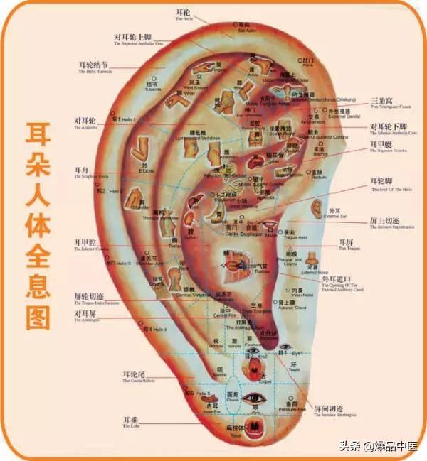 全身穴位治疗口诀大全,配图精华版,想学经络穴位的必须收藏