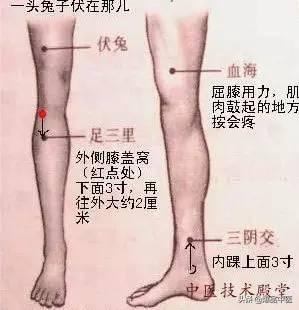 全身穴位治疗口诀大全,配图精华版,想学经络穴位的必须收藏