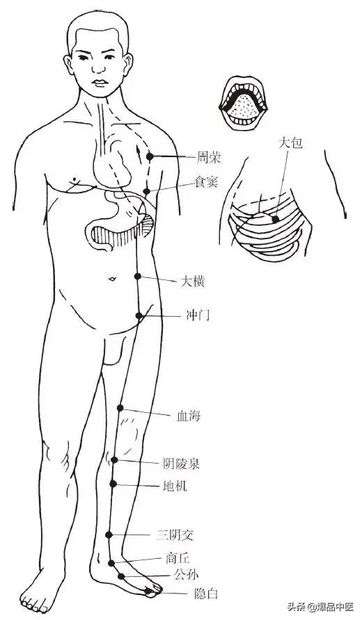 十二经脉的循行规律,中医收藏必备