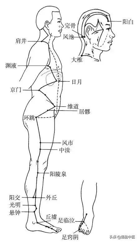 十二经脉的循行规律,中医收藏必备
