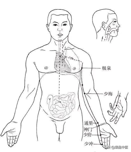 十二经脉的循行规律,中医收藏必备