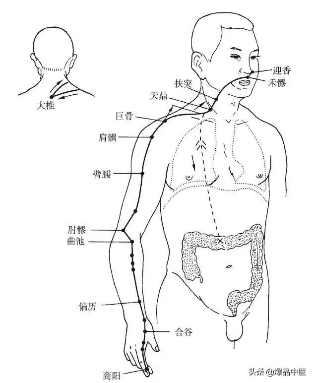 十二经脉的循行规律,中医收藏必备