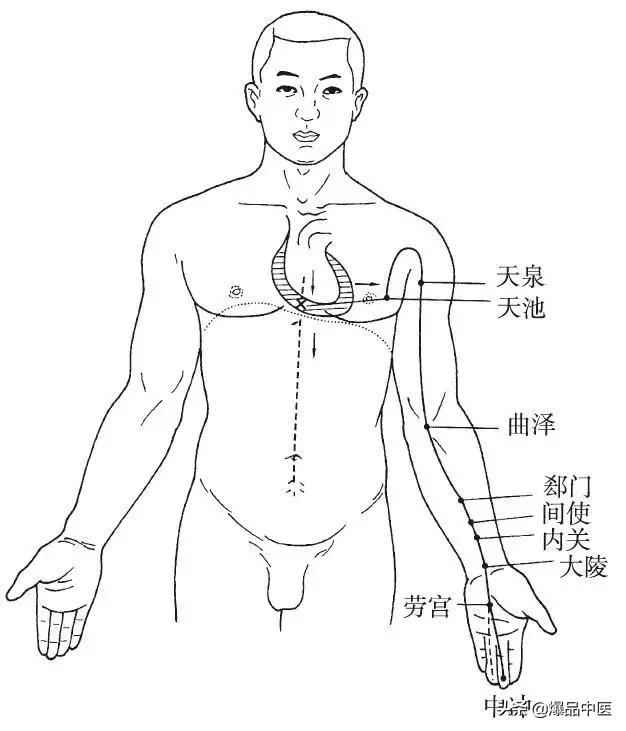 十二经脉的循行规律,中医收藏必备