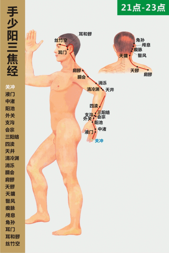 十二经络走向动画图「价值连城」