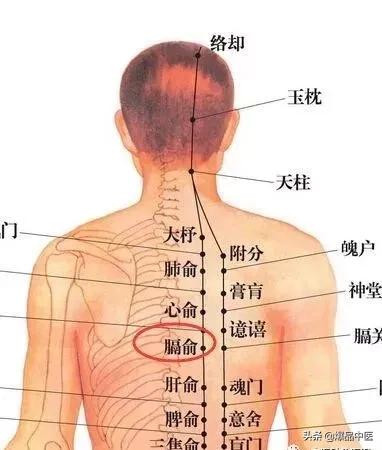 神奇的八会穴,拍打可调理多种疾病