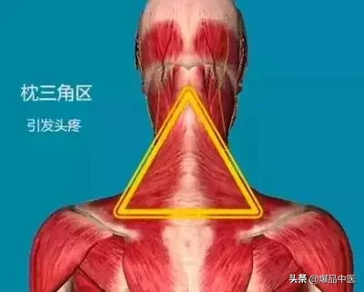 人体全身共4处三角区,处处都是人体命脉