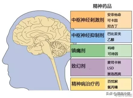 神经系统一天搞定,打破死板记忆方法