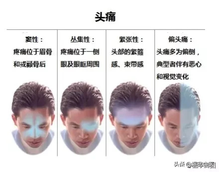 神经系统一天搞定,打破死板记忆方法