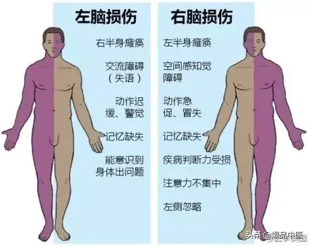 神经系统一天搞定,打破死板记忆方法