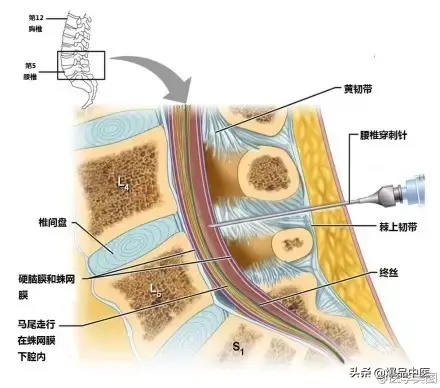 神经系统一天搞定,打破死板记忆方法