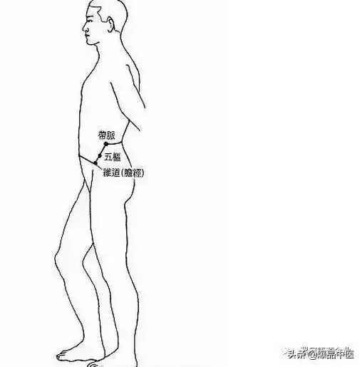 八脉交会穴的研究