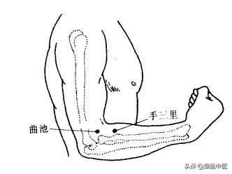 大肠经大药房:肠道清道夫