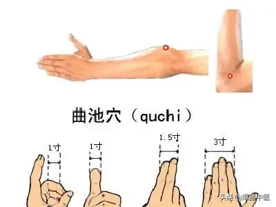 大肠经大药房:肠道清道夫