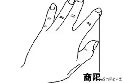 大肠经大药房:肠道清道夫