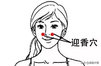 大肠经大药房:肠道清道夫