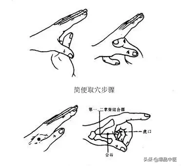 大肠经大药房:肠道清道夫