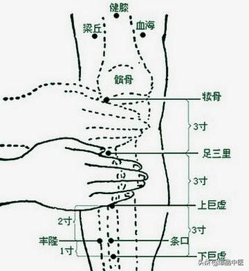 十二个穴道,几乎可以治疗全身所有的疾病