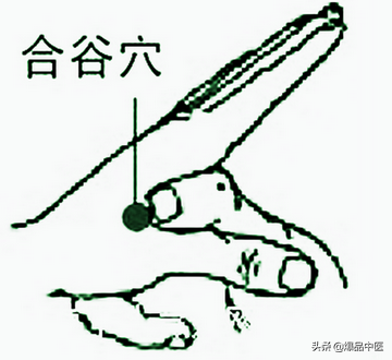 十二个穴道,几乎可以治疗全身所有的疾病