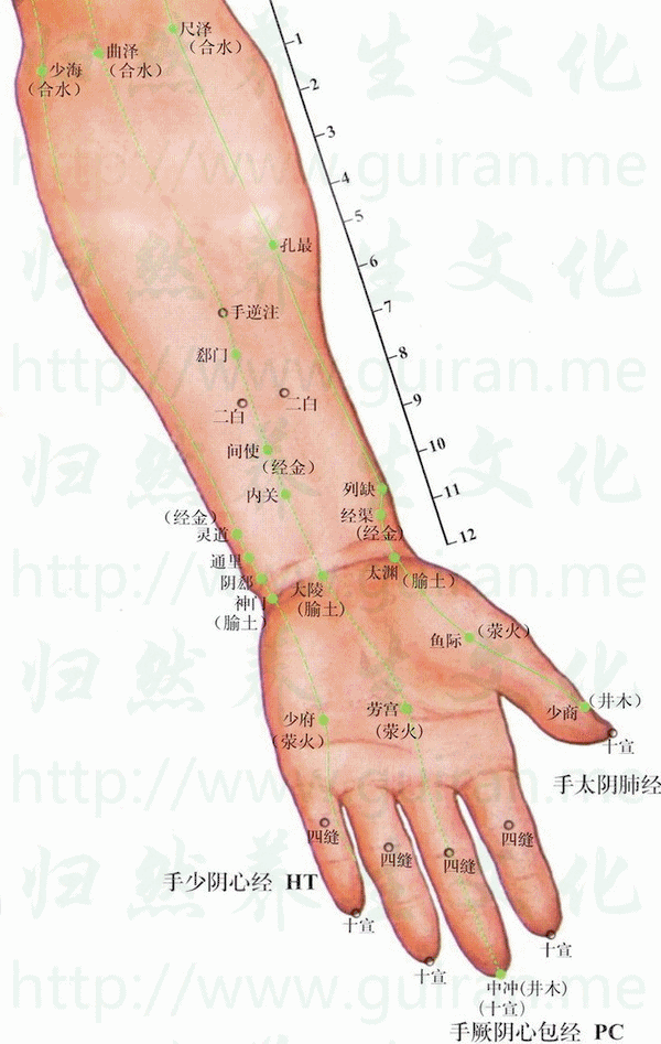 图解88个精选穴，一穴一用