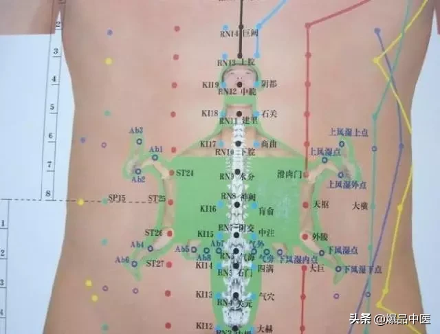 值得好好看:针灸、按摩全息之精髓(全身投影图)