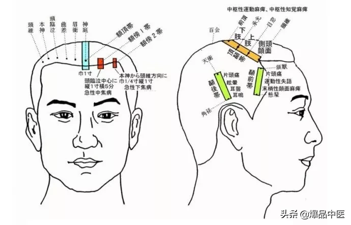 值得好好看:针灸、按摩全息之精髓(全身投影图)