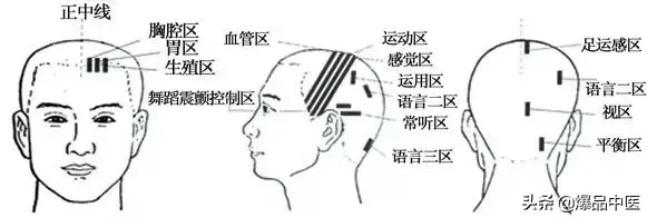 值得好好看:针灸、按摩全息之精髓(全身投影图)