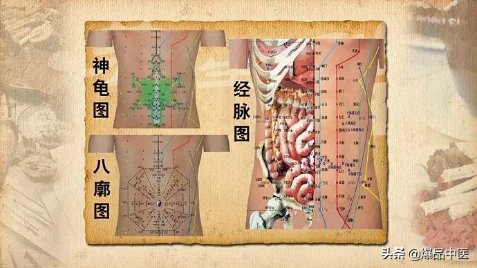 值得好好看:针灸、按摩全息之精髓(全身投影图)