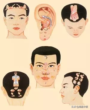 值得好好看:针灸、按摩全息之精髓(全身投影图)