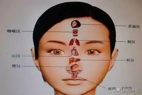 值得好好看:针灸、按摩全息之精髓(全身投影图)