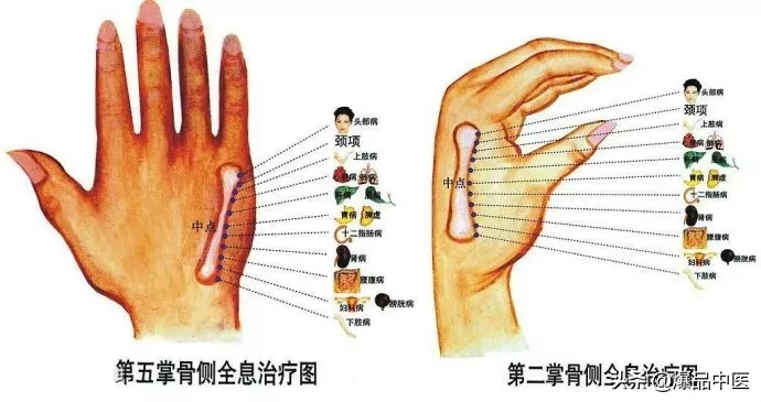 值得好好看:针灸、按摩全息之精髓(全身投影图)