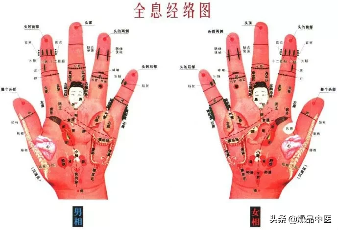 值得好好看:针灸、按摩全息之精髓(全身投影图)