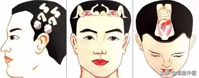 值得好好看:针灸、按摩全息之精髓(全身投影图)