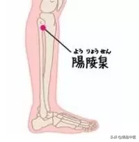 一个穴位相当于一味中药!收藏