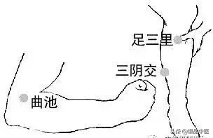 刺络放血,大病小病都不怕