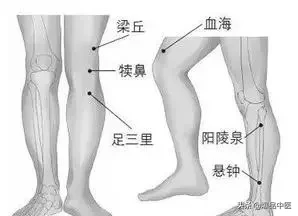刺络放血,大病小病都不怕