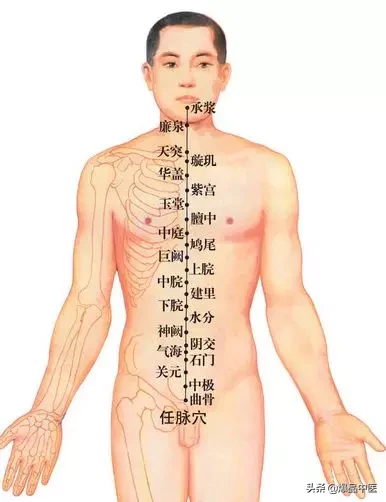女人养颜重点:如何养好任脉