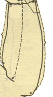 小儿推拿手法大全(动画演示)